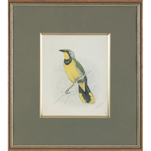 Lot 15        