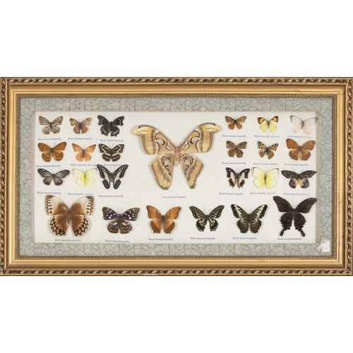 Lot 30        