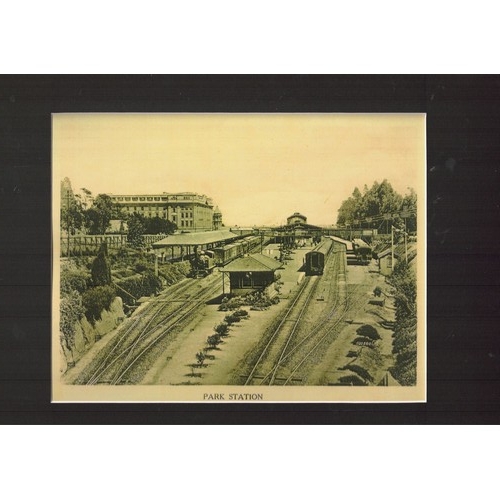 Lot 21        
