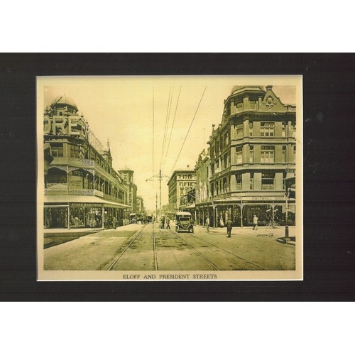 Lot 20        