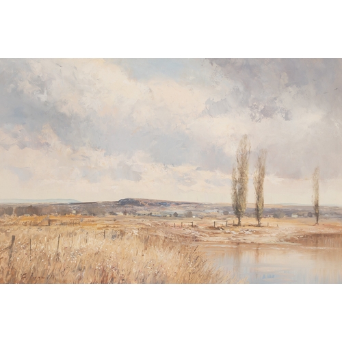 830 - Christopher Tugwell (South African 1938 - 2021) LANDSCAPE WITH RIVER