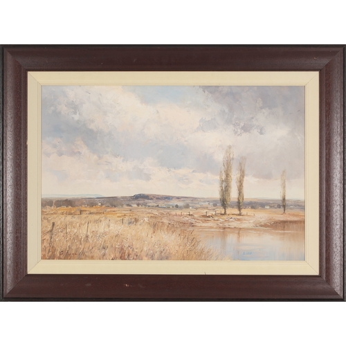830 - Christopher Tugwell (South African 1938 - 2021) LANDSCAPE WITH RIVER