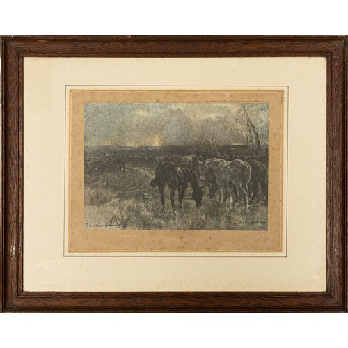 Lot 30        