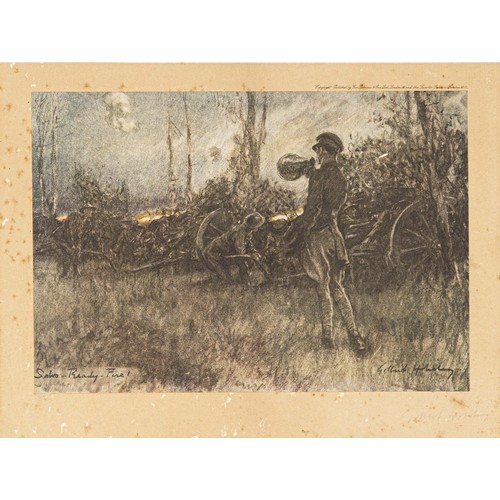 Lot 31        
