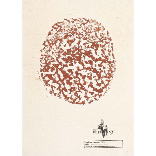 53 - TATU (ELEPHANT) 2006 - ELEPHANT SOLE FOOTPRINT PRINT