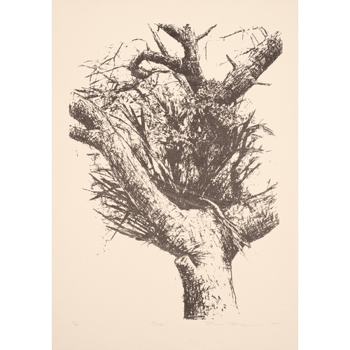 Lot 62        