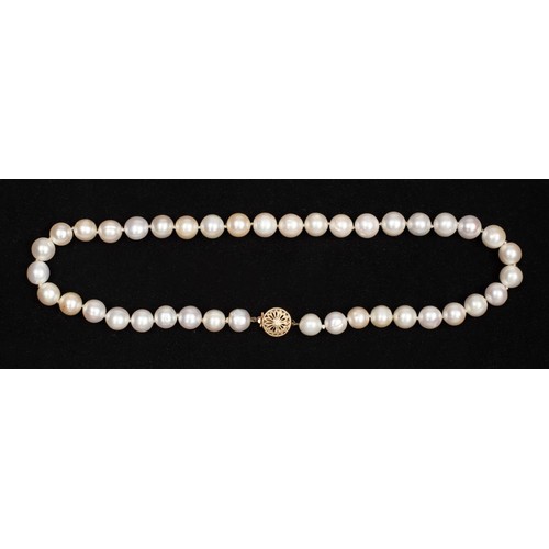 A STRAND OF FRESH WATER CULTURED PEARLS
