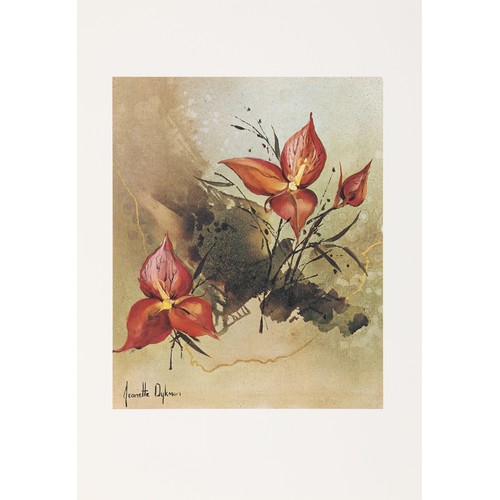 Lot 40        