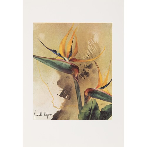 40 - A PORTFOLIO OF FIVE REPRODUCTIONS BY JEANETTE DYKMAN - 'BOUQUET FIVE'