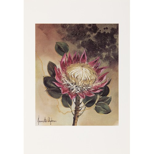 40 - A PORTFOLIO OF FIVE REPRODUCTIONS BY JEANETTE DYKMAN - 'BOUQUET FIVE'