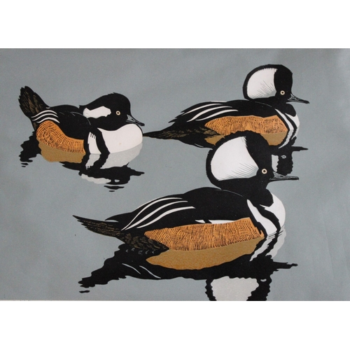 8092 - Robert Gillmor - Original linocut of Hooded Mergansers .

This is an original linocut of Hooded Merg... 