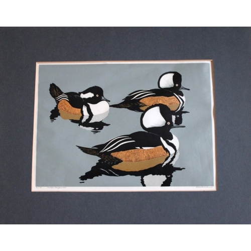 8092 - Robert Gillmor - Original linocut of Hooded Mergansers .

This is an original linocut of Hooded Merg... 