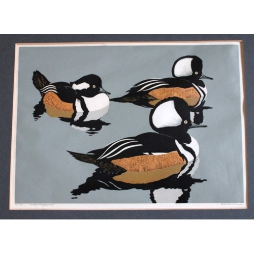 8092 - Robert Gillmor - Original linocut of Hooded Mergansers .

This is an original linocut of Hooded Merg... 