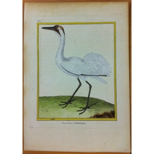 8106 - FN Martinet - American Crane 1770.

This print is by Francois Nicolas Martinet from the Comte de Buf... 