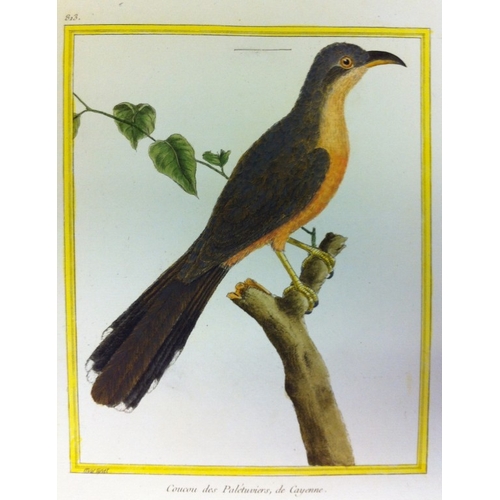 8110 - FN Martinet - 2 engravings of Mangrove and Carolina Cuckoos  1770.

This print is by Francois Nicola... 