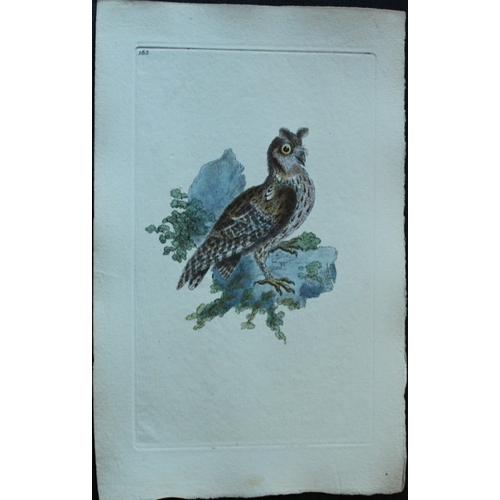 8183 - Edward Donovan - 4 engravings of birds of prey  1794.

These hand coloured engravings are from Edwar... 