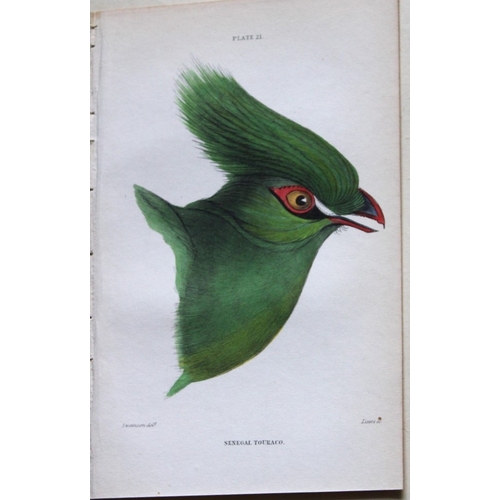 8244 - William Swainson - 4 Birds of Western Africa 1837.

These hand-coloured engravings are from William ... 