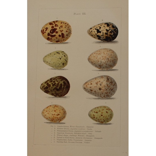 8265 - Edward Samuels - 4 prints of American bird eggs 1868.

These prints are from Ornithology and Oology ... 