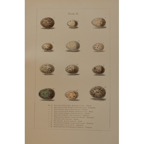 8265 - Edward Samuels - 4 prints of American bird eggs 1868.

These prints are from Ornithology and Oology ... 