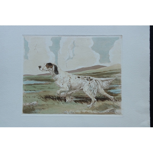 8269 - Reuben Ward Binks - Aquatint etching of an English Setter 1934.

A rare original aquatint etching of... 