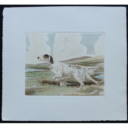 8269 - Reuben Ward Binks - Aquatint etching of an English Setter 1934.

A rare original aquatint etching of... 