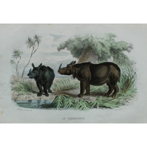 8297 - Buffon & Travies - 4 prints of Mammals 1839.

These original hand-coloured steel engravings are from... 