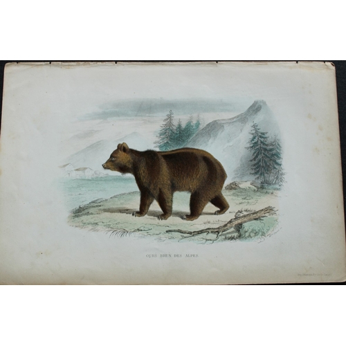 8298 - Buffon & Werner - 4 prints of Mammals 1839.

These original hand-coloured steel engravings are from ... 