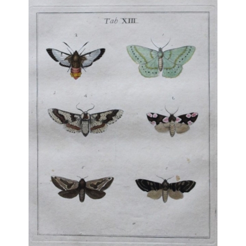 8348 - Moses Harris - 2 engravings of Moths 1776.

These original hand-coloured copper-plate engravings of ... 