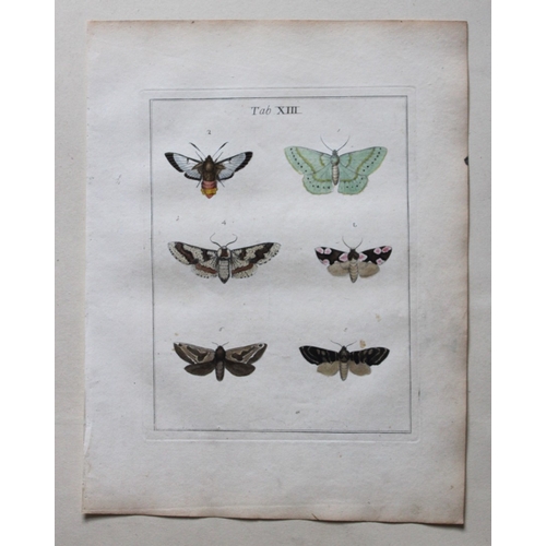 8348 - Moses Harris - 2 engravings of Moths 1776.

These original hand-coloured copper-plate engravings of ... 