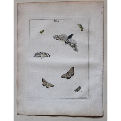 8350 - Moses Harris - 2 engravings of Moths 1776.

These original hand-coloured copper-plate engravings of ... 