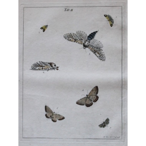 8350 - Moses Harris - 2 engravings of Moths 1776.

These original hand-coloured copper-plate engravings of ... 