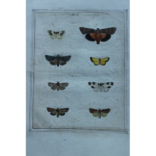 8351 - Moses Harris - 2 engravings of Moths 1776.

These original hand-coloured copper-plate engravings of ... 