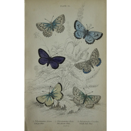 8369 - Sir W Jardine - 3 prints of British Butterflies 1835.

These engravings of British butterflies are f... 