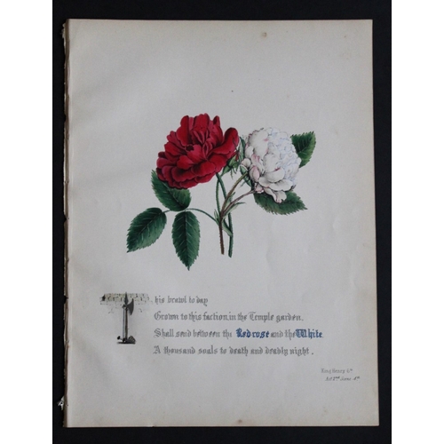 8384 - Jane E Giraud - 4 prints from Flowers of Shakespeare 1845.

These original hand-coloured floral prin... 