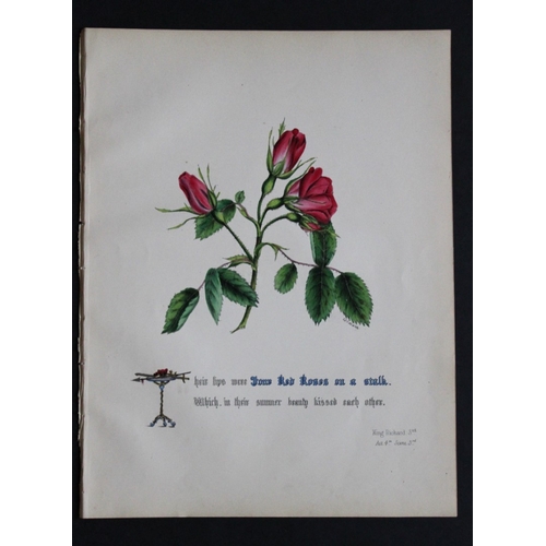 8384 - Jane E Giraud - 4 prints from Flowers of Shakespeare 1845.

These original hand-coloured floral prin... 