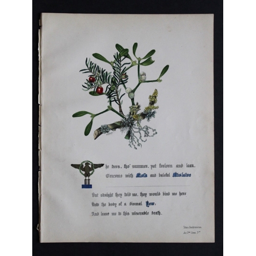 8384 - Jane E Giraud - 4 prints from Flowers of Shakespeare 1845.

These original hand-coloured floral prin... 