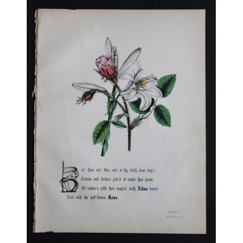 8385 - Jane E Giraud - 4 prints from Flowers of Shakespeare 1845.

These original hand-coloured floral prin... 