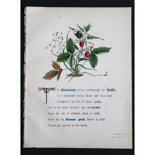 8385 - Jane E Giraud - 4 prints from Flowers of Shakespeare 1845.

These original hand-coloured floral prin... 