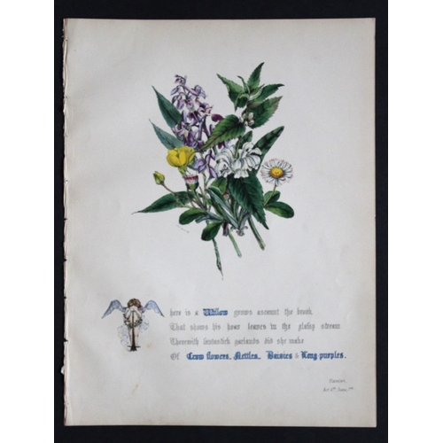 8386 - Jane E Giraud - 4 prints from Flowers of Shakespeare 1845.

These original hand-coloured floral prin... 