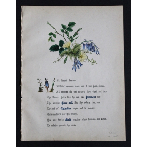 8386 - Jane E Giraud - 4 prints from Flowers of Shakespeare 1845.

These original hand-coloured floral prin... 