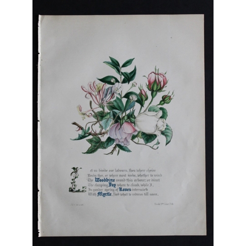 8387 - Jane E Giraud - 4 prints from Flowers of Milton 1846.

These original hand-coloured floral prints ar... 