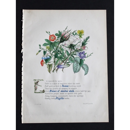 8387 - Jane E Giraud - 4 prints from Flowers of Milton 1846.

These original hand-coloured floral prints ar... 