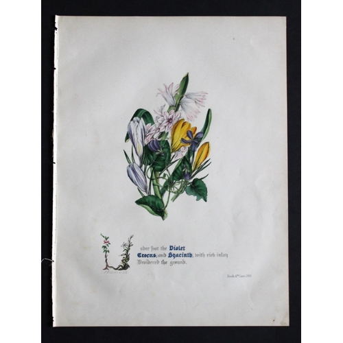 8387 - Jane E Giraud - 4 prints from Flowers of Milton 1846.

These original hand-coloured floral prints ar... 