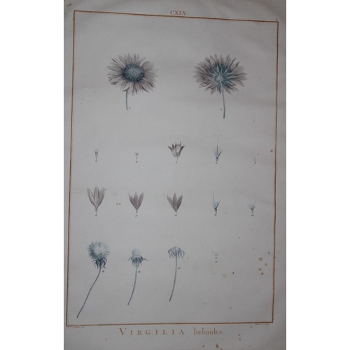 8421 - PJ Redoute - Original engraving from Stirpes Novae 1785.

This rare line engraving of Virgilia helio... 