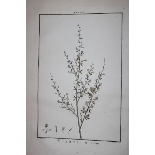 8423 - PJ Redoute - Original engraving from Stirpes Novae 1785.

This rare line engraving of Spartium album... 