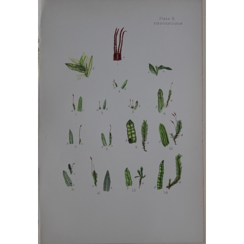 8440 - FE Tripp - 16 coloured prints of British mosses 1888.

These antique prints are from British Mosses,... 