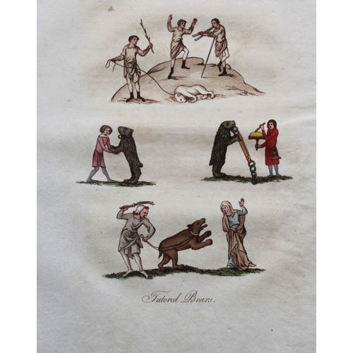 8475 - Joseph Strutt - 4 prints of Tutored Animals 1801.

These beautifully hand-coloured engraved plates a... 