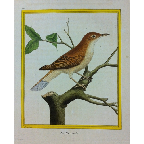 8103 - FN Martinet - Reed Warbler 1770.

This print is by Francois Nicolas Martinet from the Comte de Buffo... 