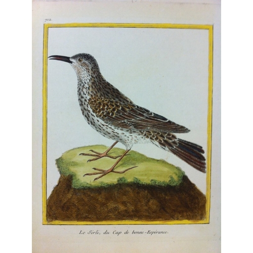 8107 - FN Martinet - Lark of Cape of Good Hope 1770.

This print is by Francois Nicolas Martinet from the C... 