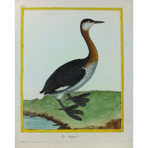 8108 - FN Martinet - Grebe 1770.

This print is by Francois Nicolas Martinet from the Comte de Buffon's sup... 